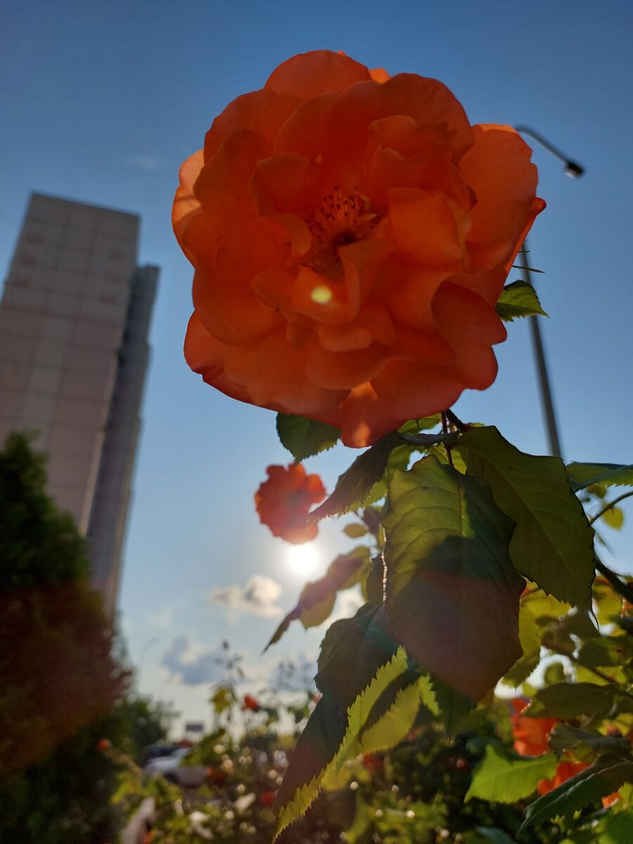 Фото автора.