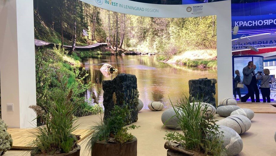    Стенд Ленобласти на ПМЭФ-2023 Автор фото: ДП