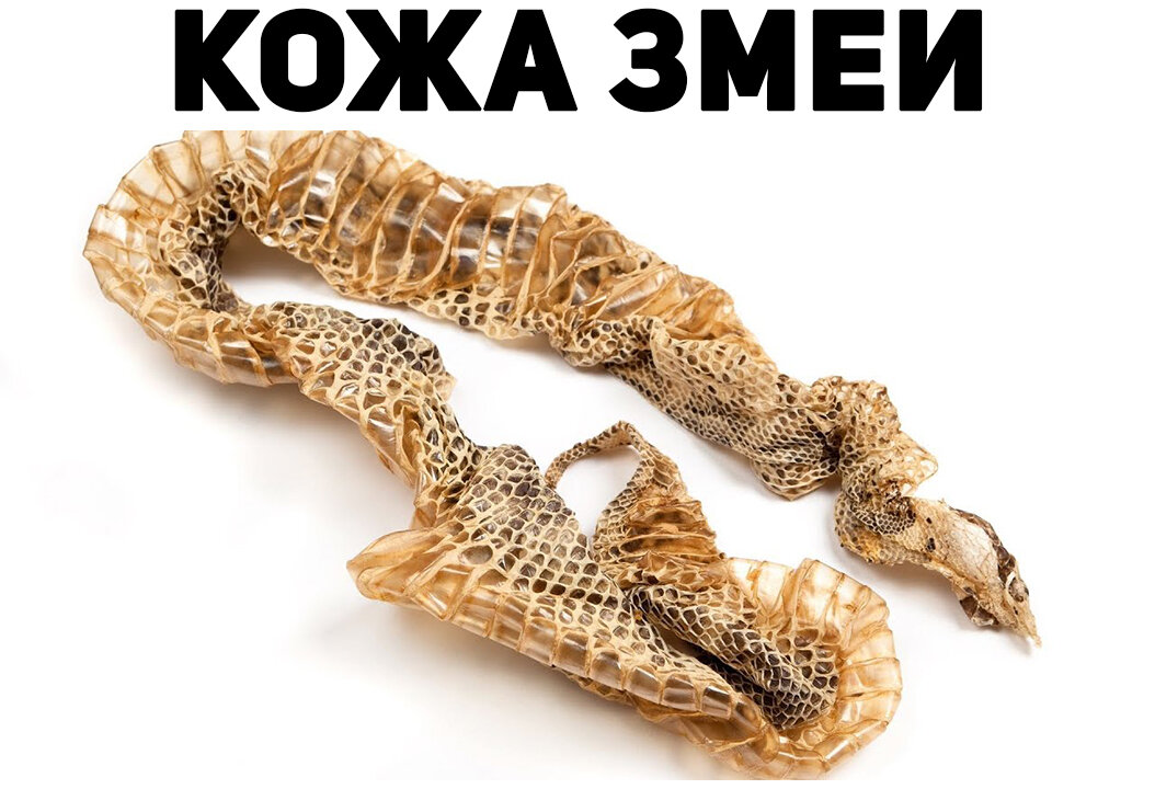 Интересные вещи, которые вы увидите впервые в жизни! | Хочу Знать | Дзен