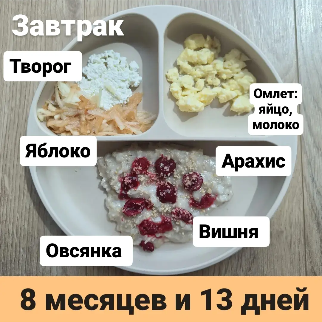 Пример тарелки в 8 месяцев 