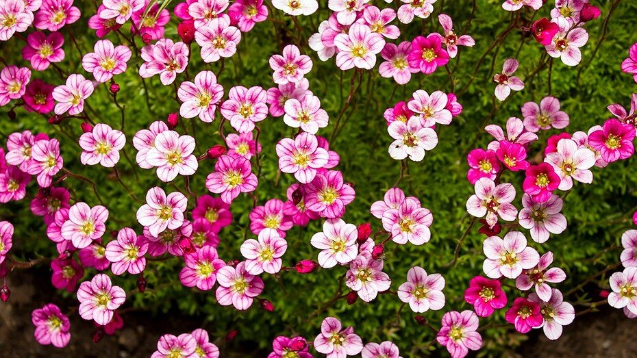 ShutterStock/Fotodom.ru 