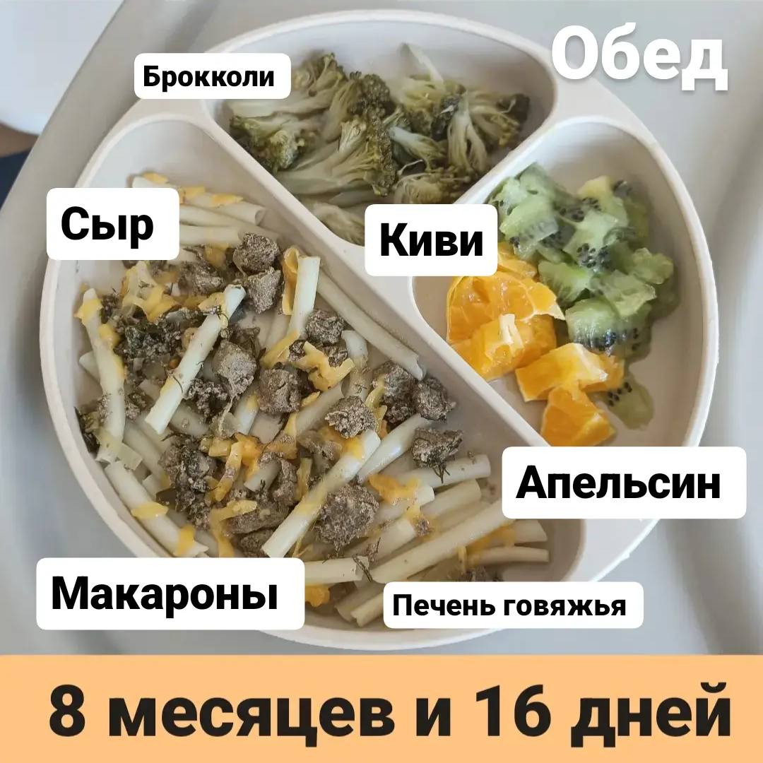 Пример тарелки в 8 месяцев 