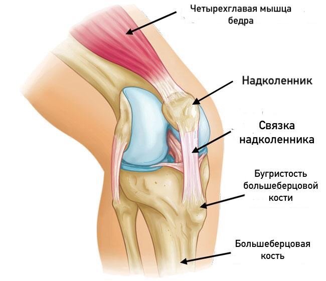 Осгуд шляттера фото