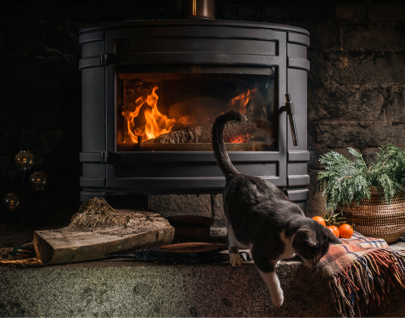 Фото: Canva
