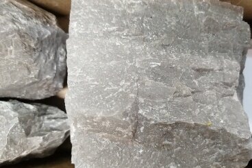 Известняк девонского возраста, отобран с глубины 3524 м.