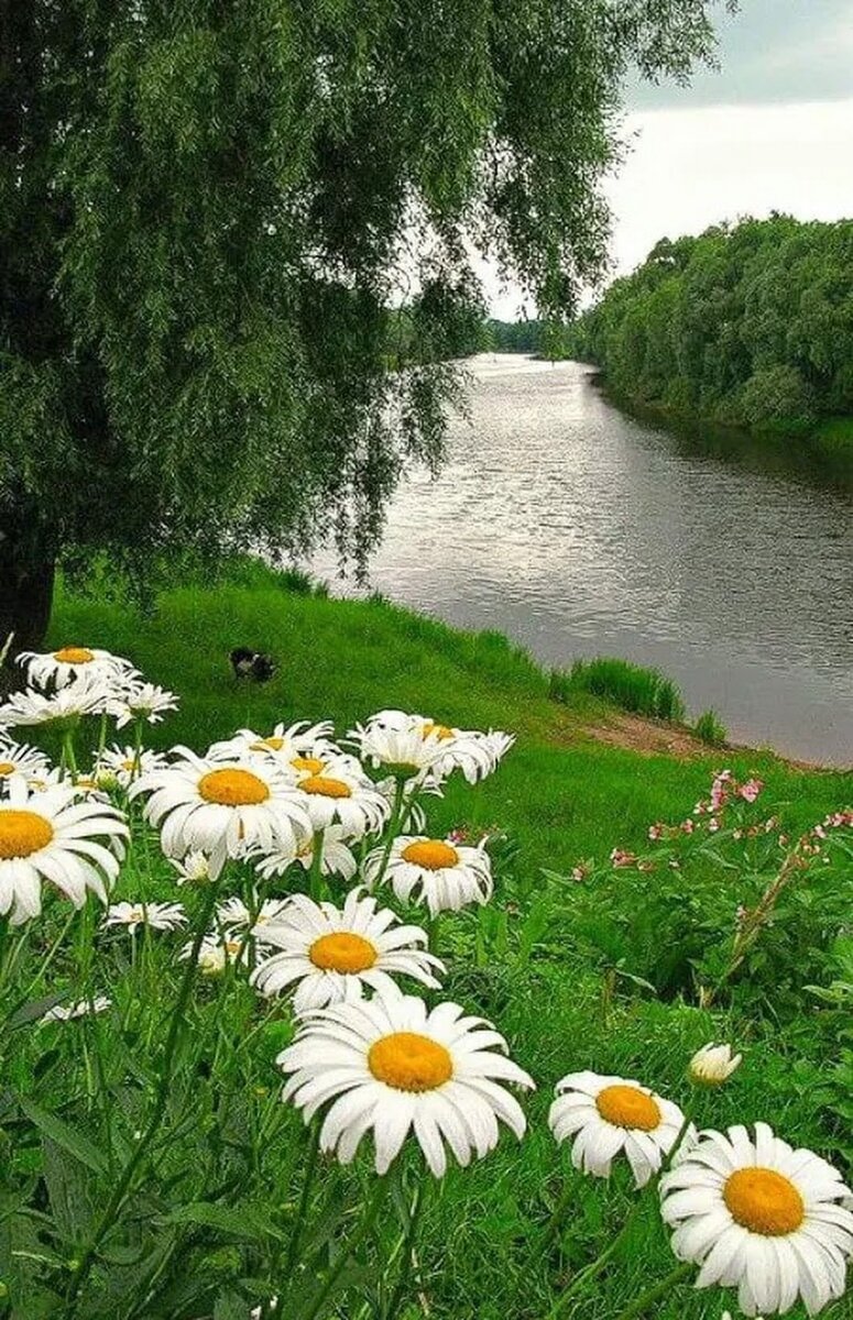 Из открытых интернет источников.