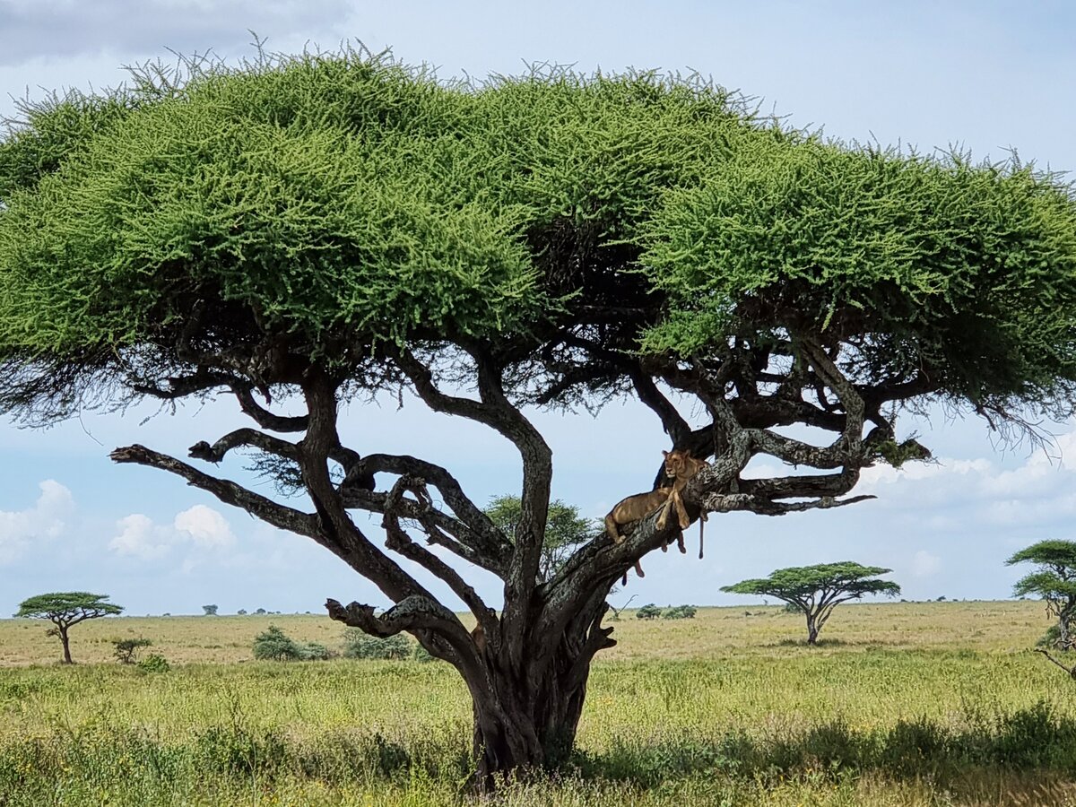 Личностные изменения начинаются с принятия себя