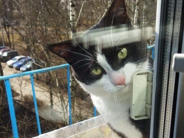 Так кто же всё-таки убил Влада Листьева?