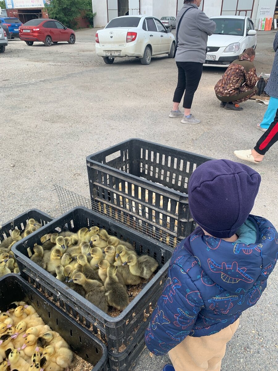 Здесь мы поставили свою коляску и пошли дальше уже пешком, по кругу