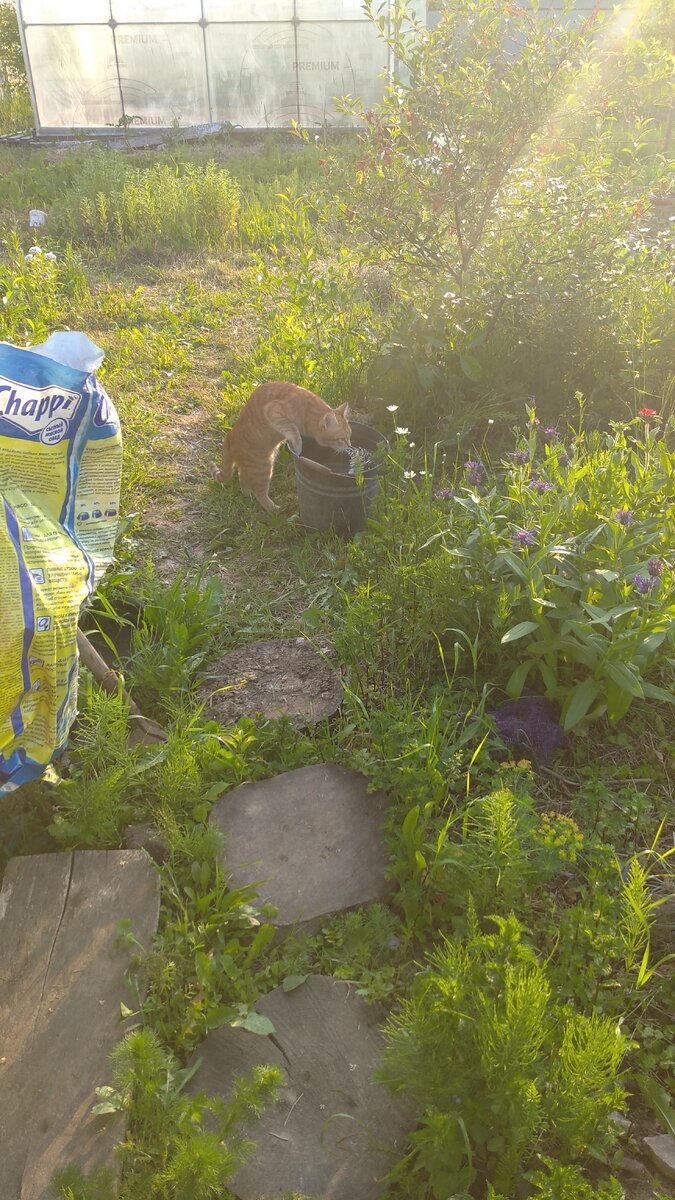 Личное  фото. 