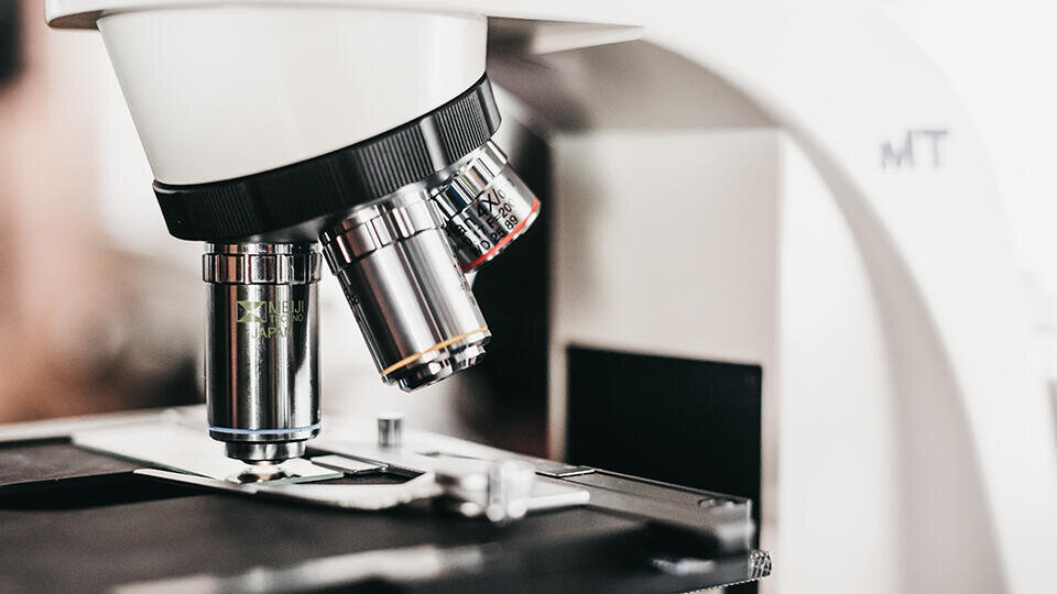 Фото: © Unsplash/Logan Moreno Gutierre