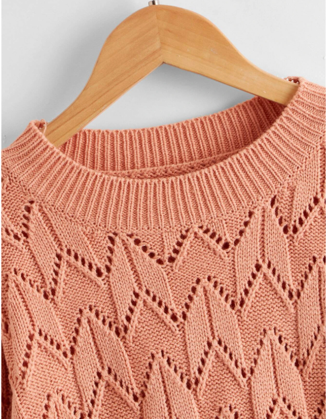       - Shein (  + )