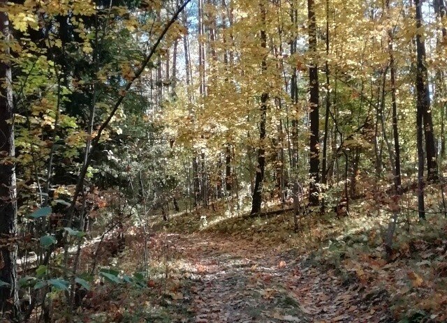 2021, осень. Фото автора.