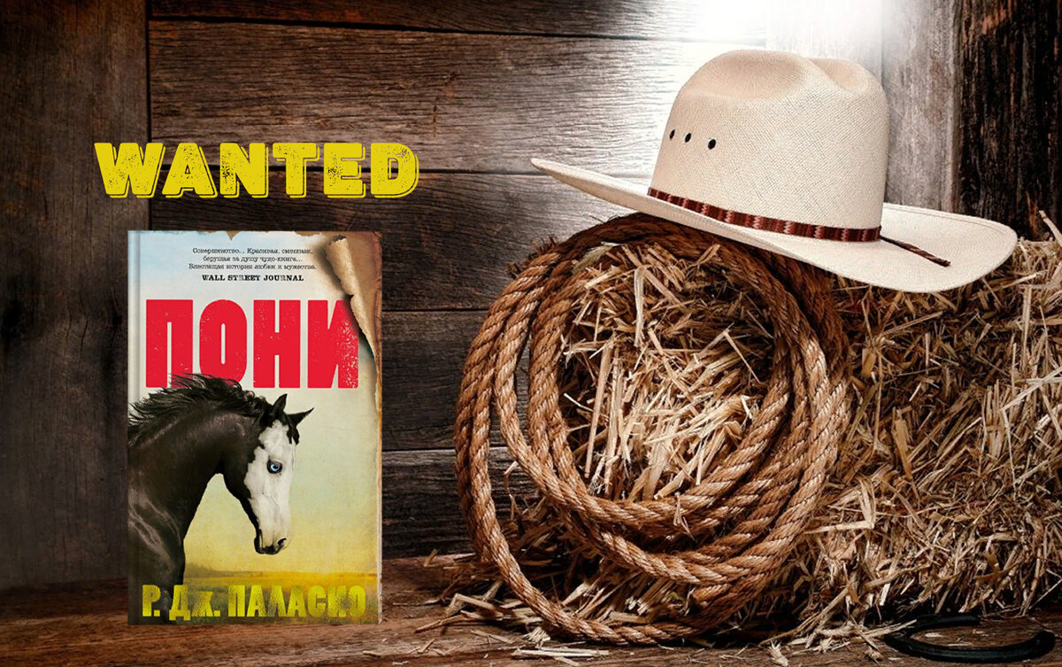 Твердая обложка, 352 стр., издательство Иностранка