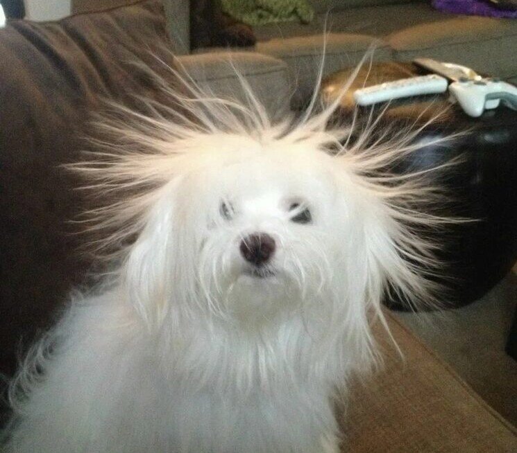 Когда помыла голову на ночь.