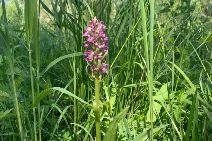    Фото Светланы Гижицкой