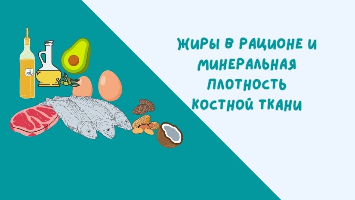 Жиры в рационе и их влияние на минеральную плотность костной ткани