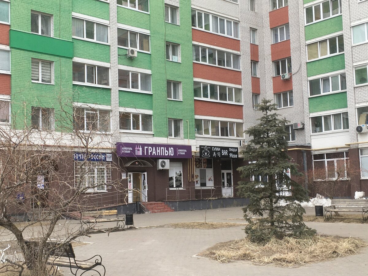    Готовы лечь под бульдозер: жители микрорайона «Сосновый бор» в Брянске возмущены начавшейся под боком вырубкой красивого леса avchernov