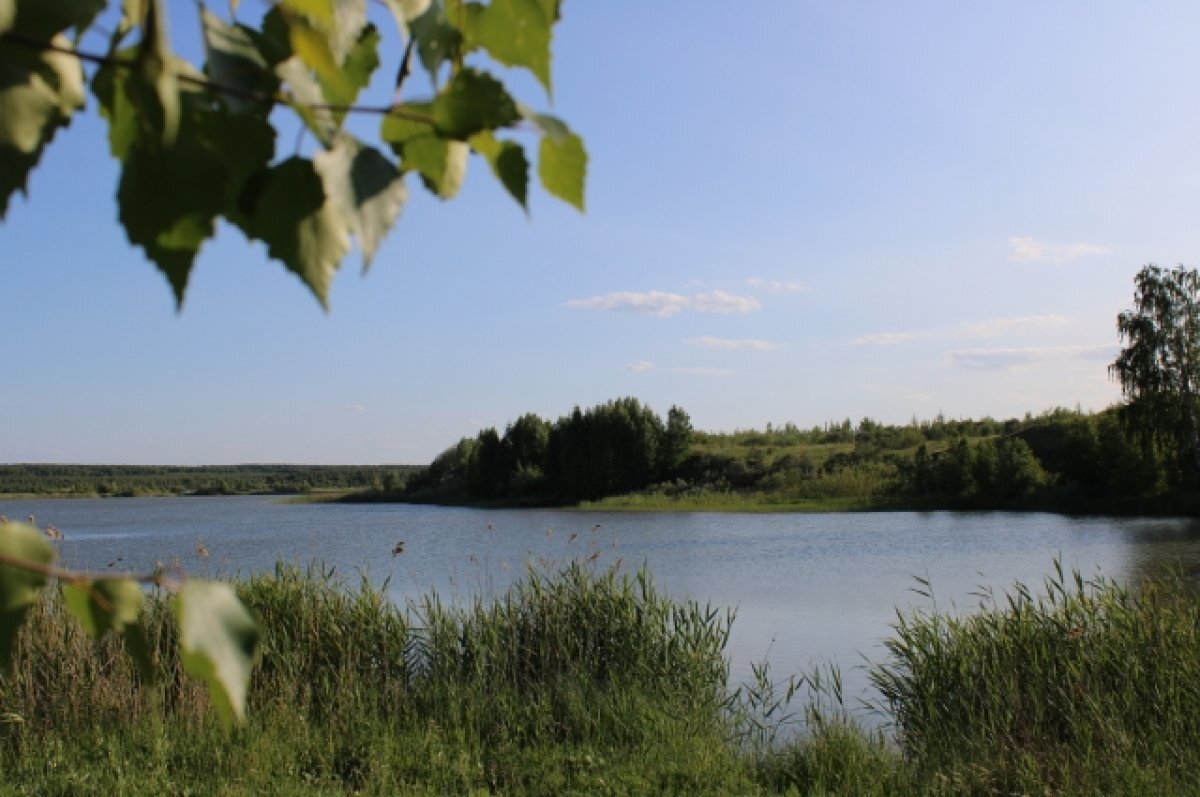    На территории Владимирской области продолжается мониторинг водных объектов