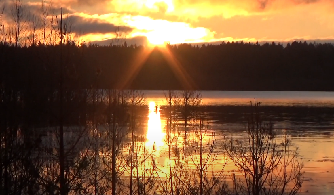 Шимозеро, Вытегорский район