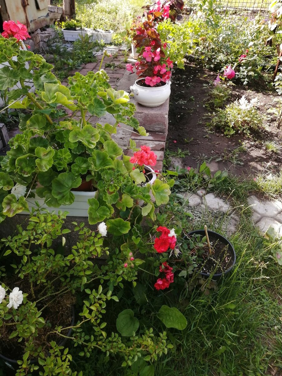 Место для "ссылки" и всего, что не влезло в парадный ряд