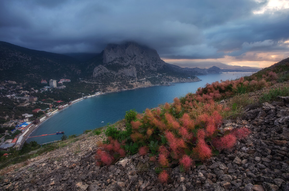 Новый свет Крым часовня Луки Крымского