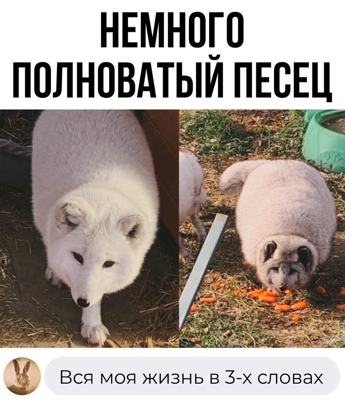 просто ржачная пикча :)