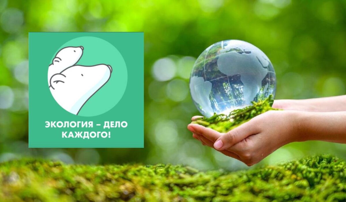 Экология каждый день. Экология каждый день. Уважение к природе. Эко привычки на каждый день. Экология сохранение природы.