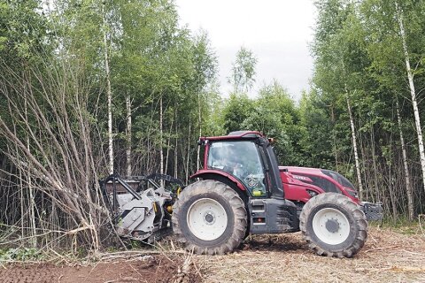 Фото - Дмитрий Рыжаков
