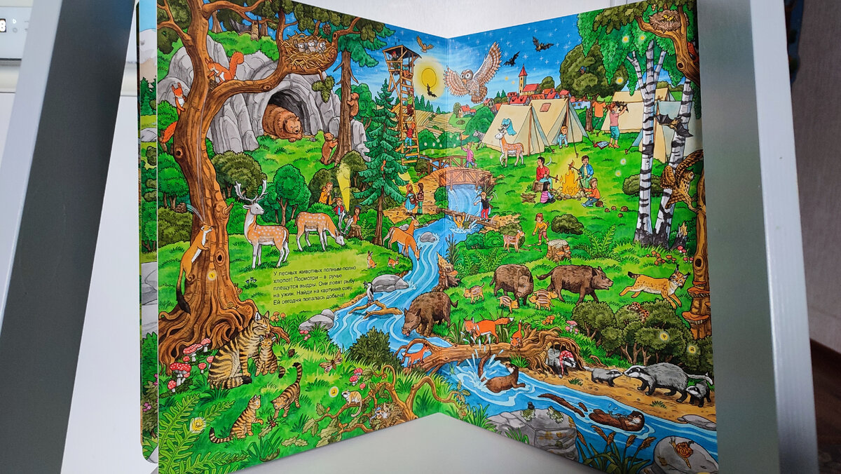 разворот книги про животных