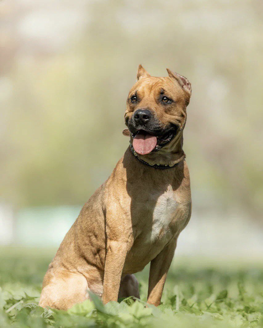 Молодой, активный, ориентированный на человека парень, с шикарной голливудской улыбкой и очень умным взглядом просто обязан обратить на себя внимание. 
