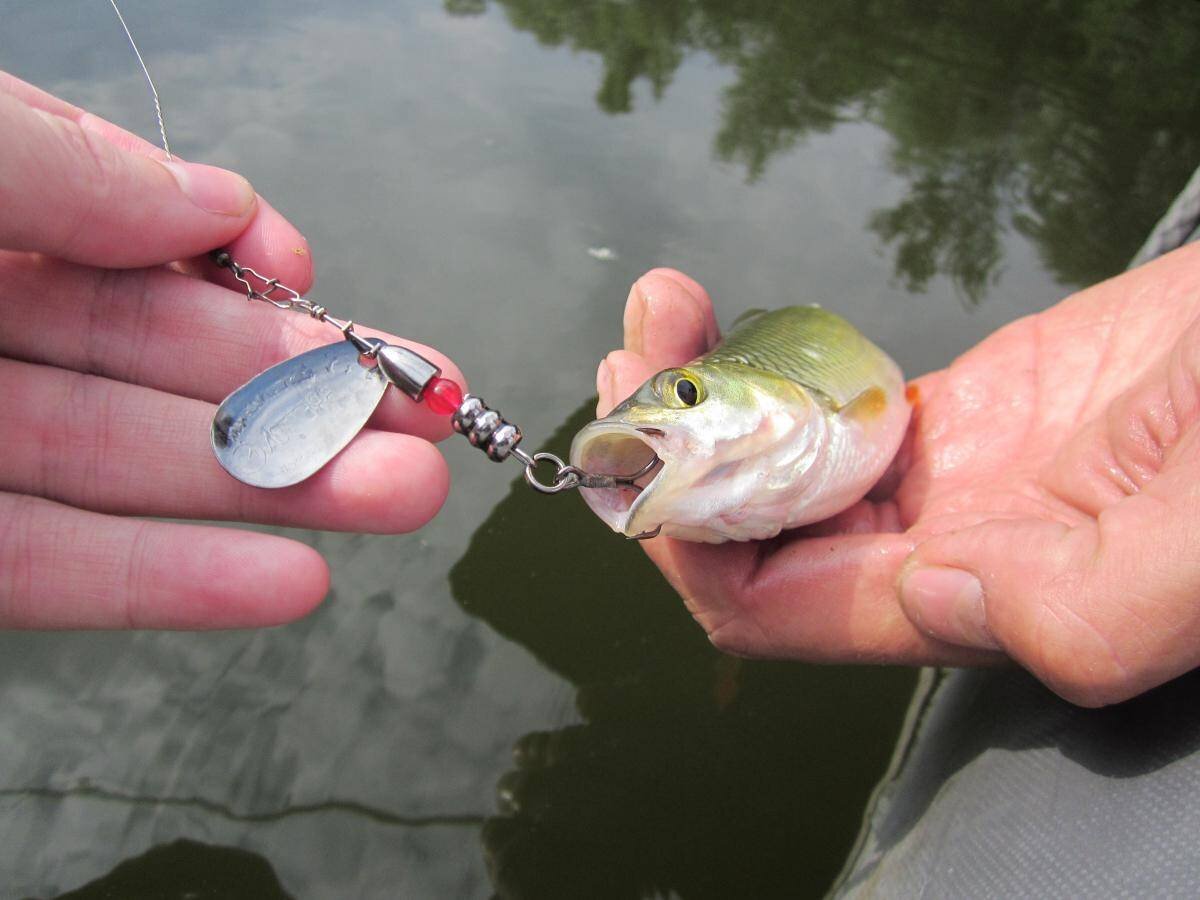 Фото с сайта: https://gruzarf.ru