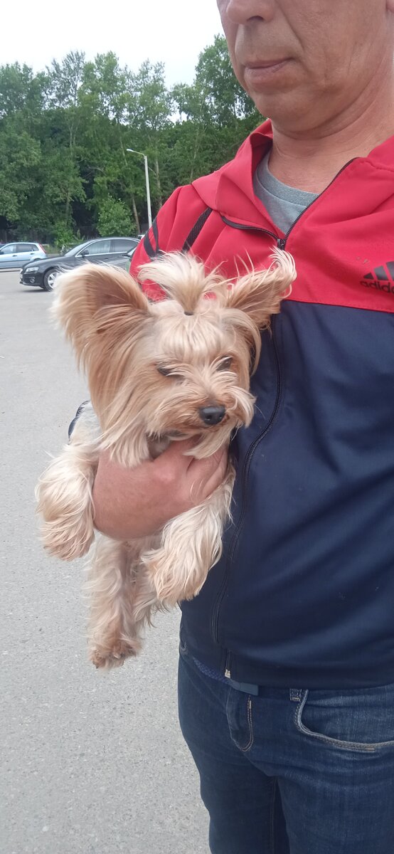 Это Фрося до стрижки