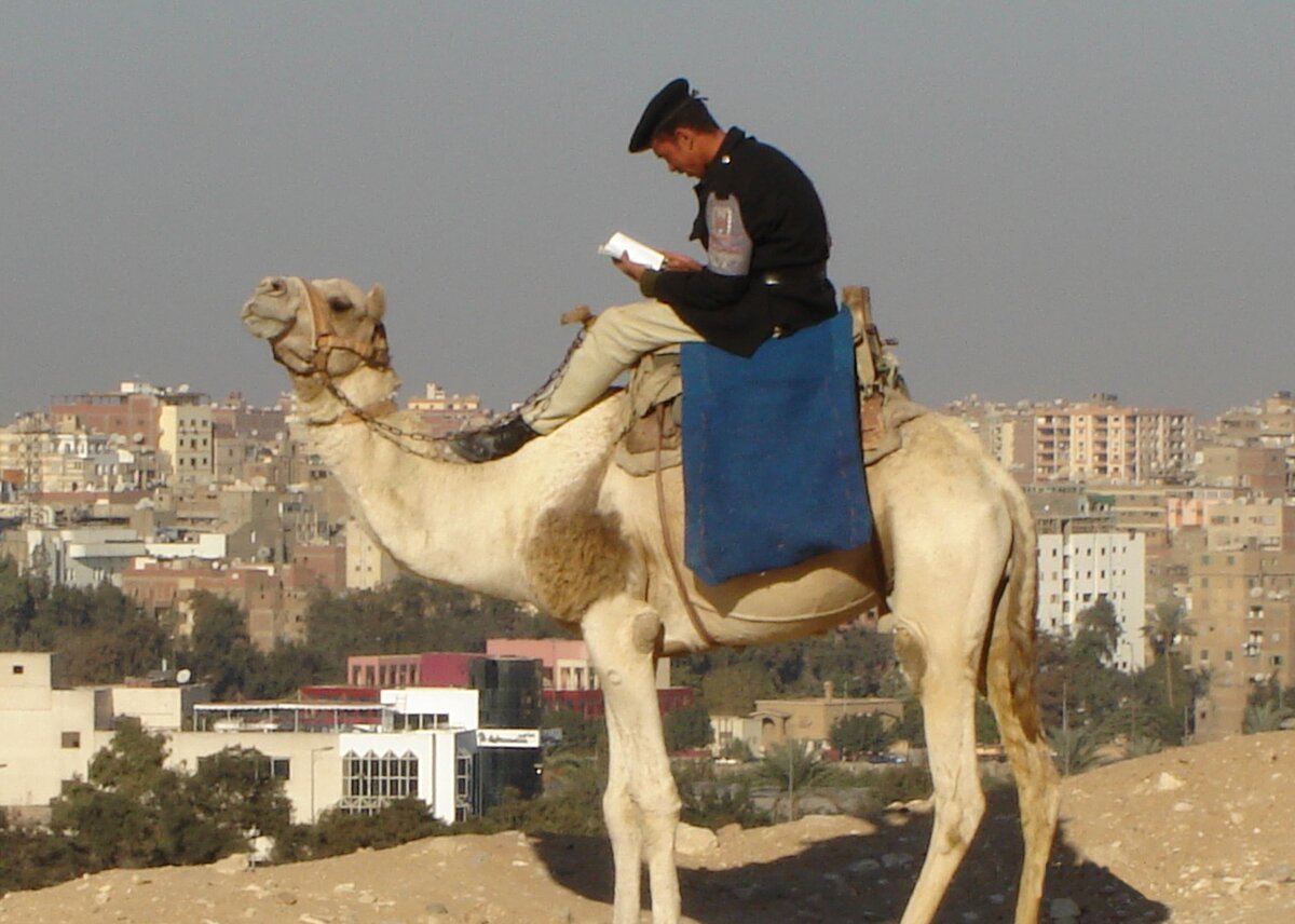 Это забавное фото я сделала во время экскурсии в Гизу