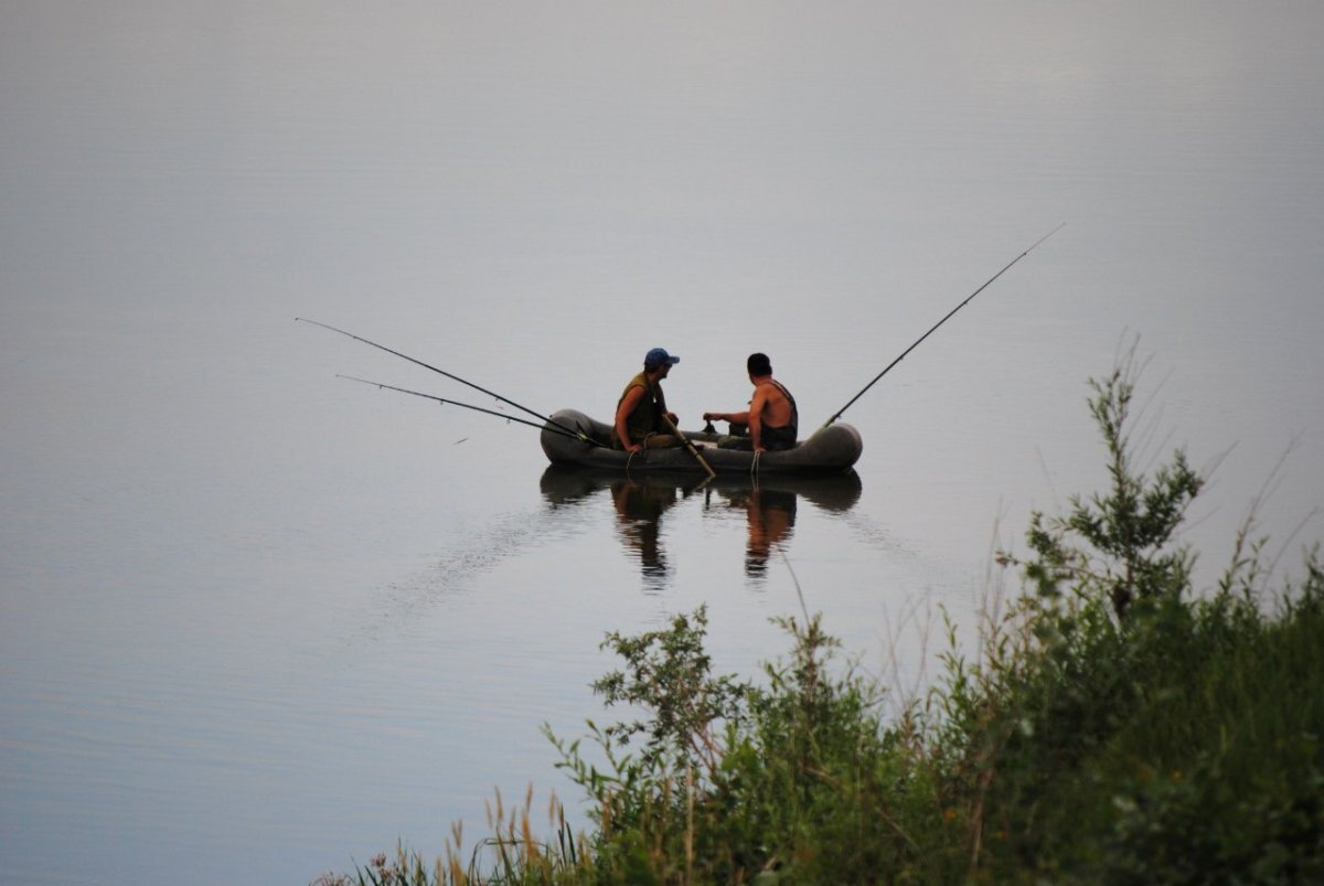    «Брошенные сети вывозили "Газелями"».