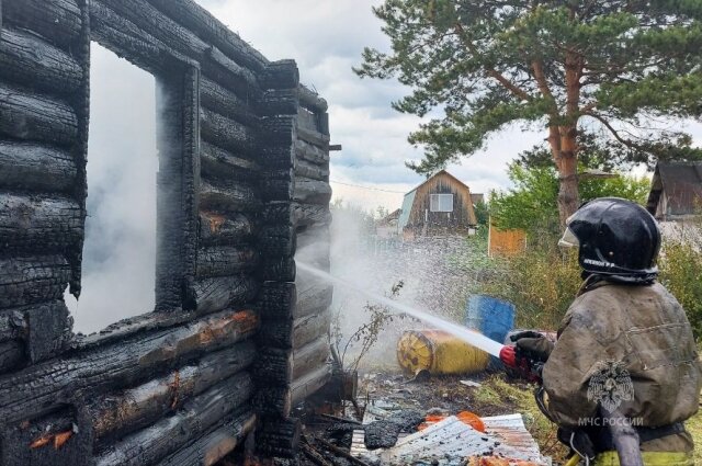    Фото: ГУ МЧС по Томской области