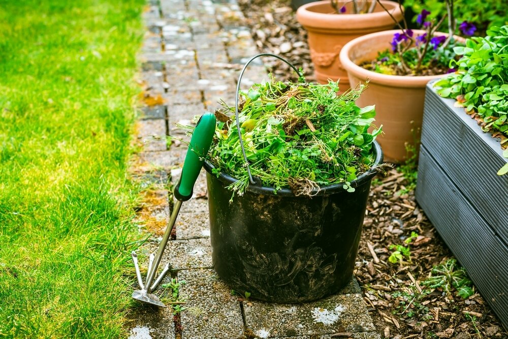    Борьба с сорняками должна быть комплексной