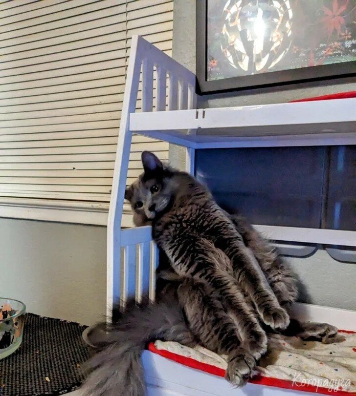 Источник: pinterest.com