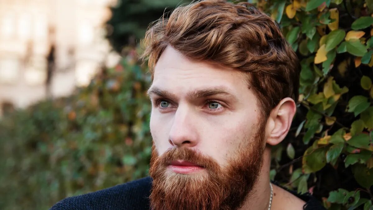 Фото: pxhere.com