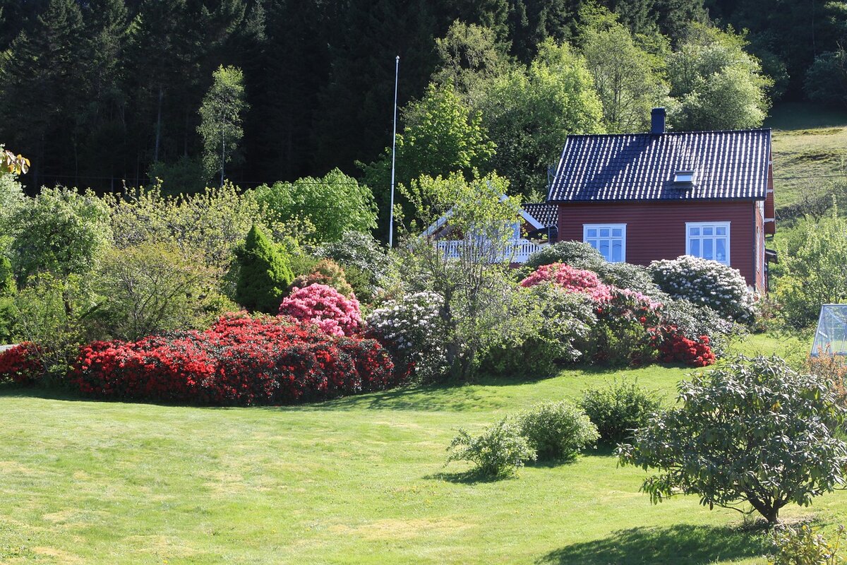 Ботанический сад Осло Норвегия