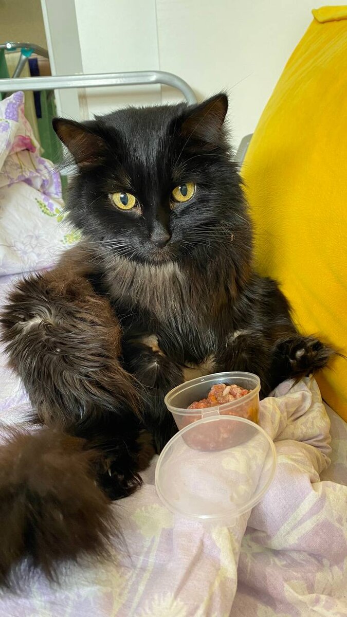 Тусю чуть ли не реанимировали. Не могли поставить диагноз. У неё была странная анемия и опухоль в печени. Что же было дальше?