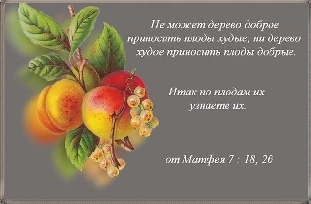 Источник: Яндекс. Картинки