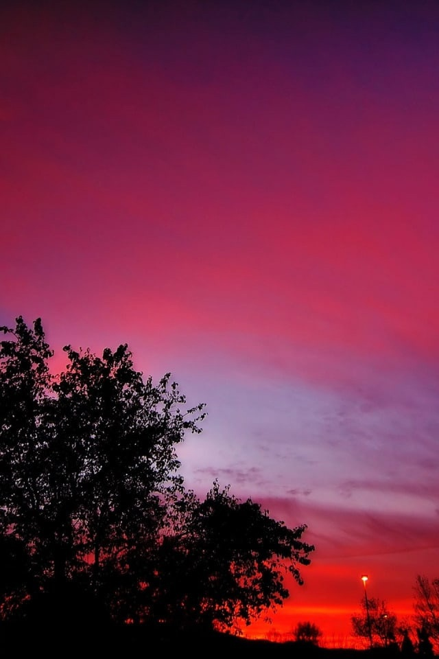 Малиновый след. Мазок краски на белом фоне. Малиновый след. Мазок краски на белом фоне. Малиновый след.