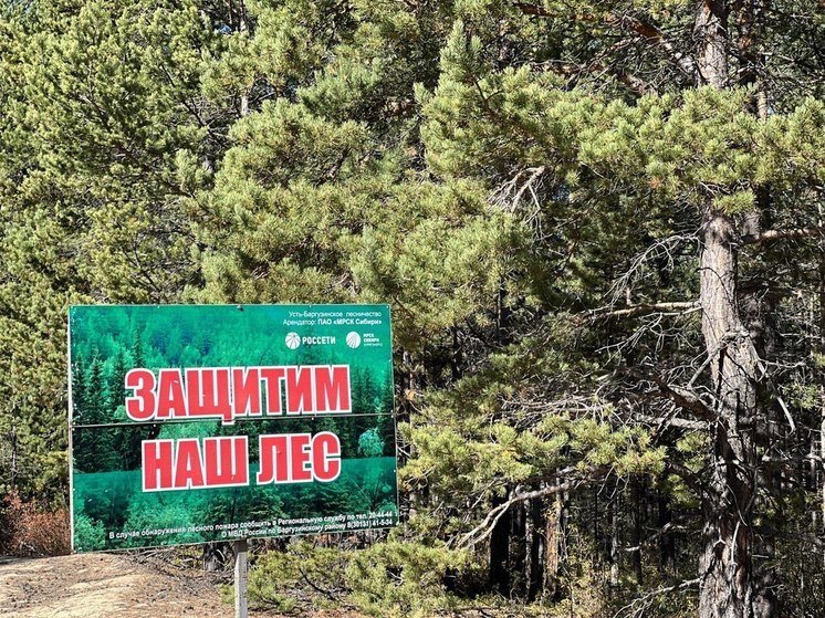 Лесной план республики бурятия