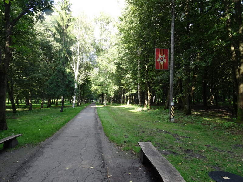 фото из интернета