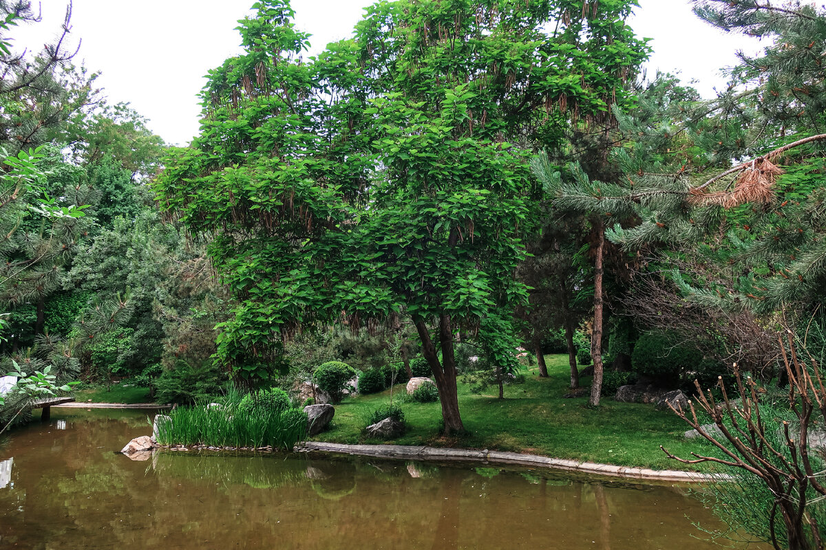 Наличие водоема - обязательное условие, соблюдаемое при строительстве парка в Японии.