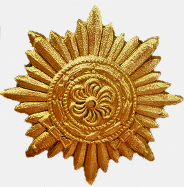 Знак отличия для восточных народов — наградной знак Германии времён Второй мировой войны. Он использовался для награждения военнослужащих добровольцев из числа славянских народов