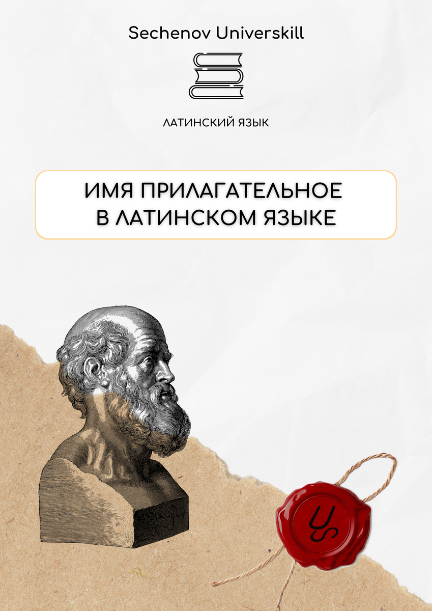 Имя прилагательное | Александр Сеченов из медицинской онлайн школы -  Sechenov Universkill | Дзен