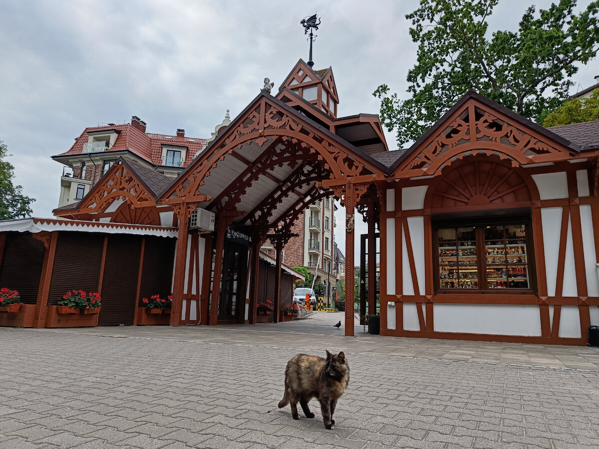 Входная группа парка Зеленоградска, в деревянной резьбе драконы, дракон на флюгере  