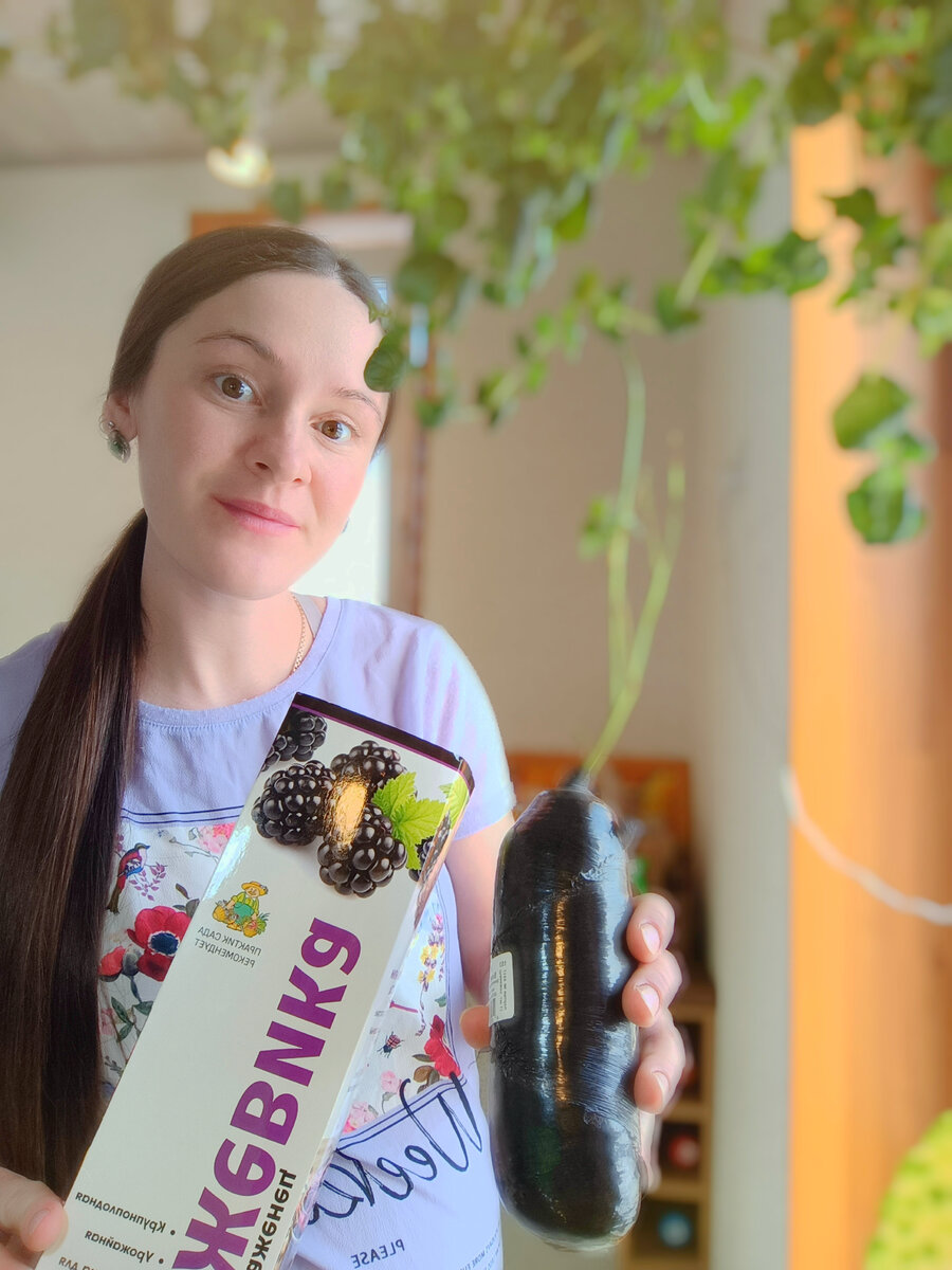 В таком состоянии я приобрела саженец ежевики в сети супермаркетов «лента»